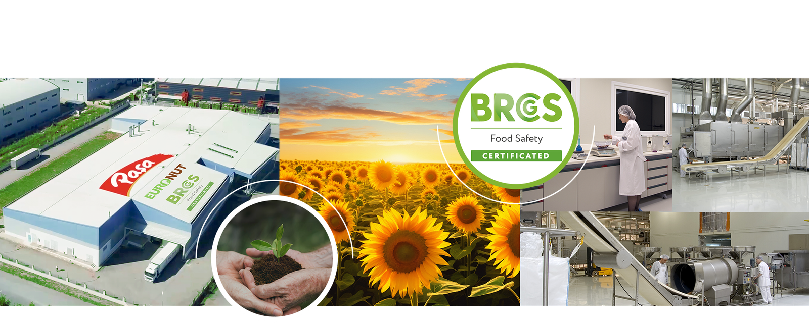 pasa kuruyemis fabrika