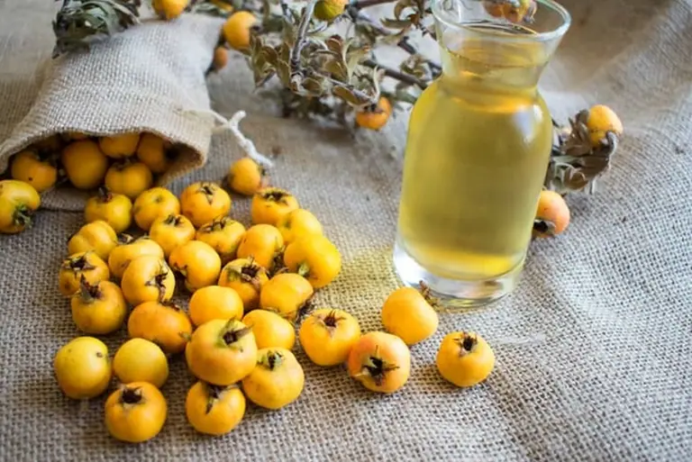 Alıç Sirkesi Ev Tipi (Geleneksel)